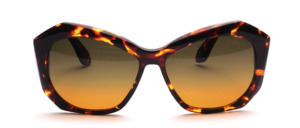 Trendy ladies Frame in tortoiseshell look and a brown-orange gradient glazing