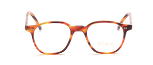 Thin-edged acetate frame in Havana with 2 decorative rivets each on the front and on the temples