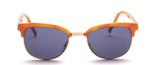 Great combination sunglasses