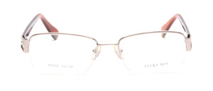 Modern nylon Frame in silver with flex hinge and buffalo horn temples
