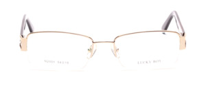 Modern nylon frame in gold color with flex hinge and buffalo horn temples