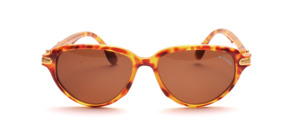 An absolutely fashionably designed sunglasses with golden metal side panels