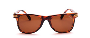 Elegant ladies sunglasses in the current style with gold jewelry on the side